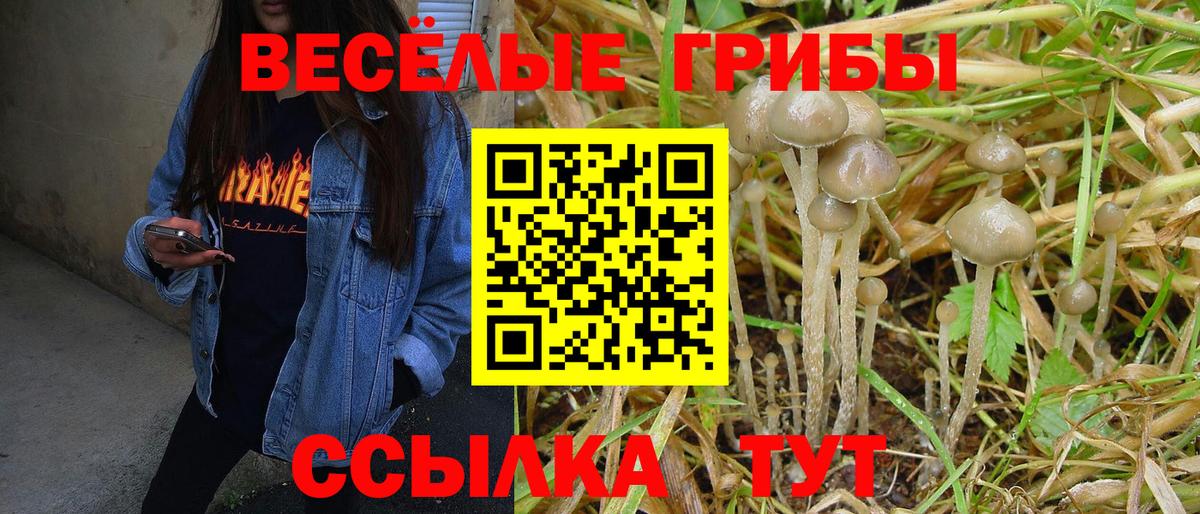 Галлюциногенные грибы Magic Shrooms Губкин