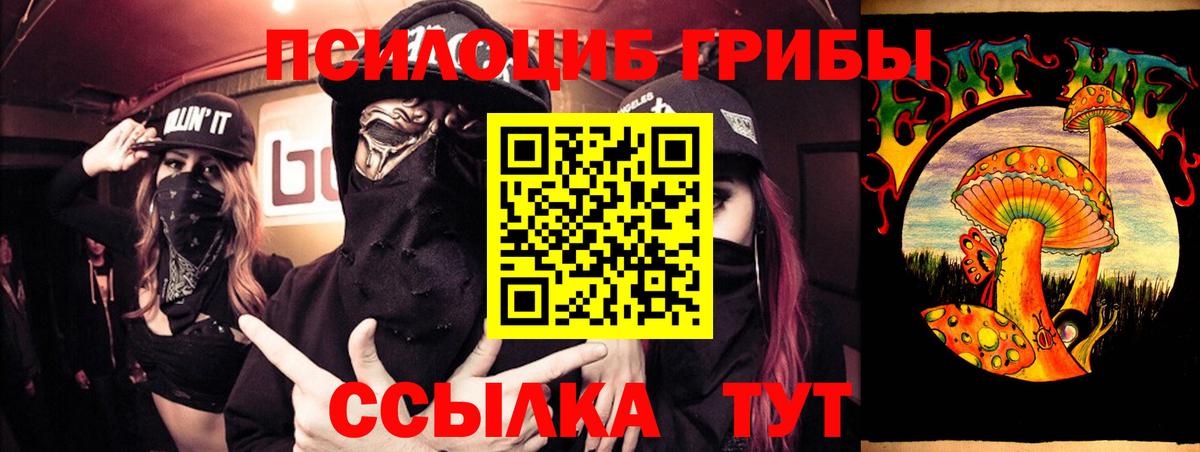 Губкин  Галлюциногенные грибы мухоморы  наркошоп  Вход с VPN 